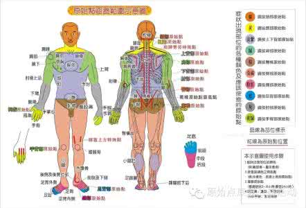 常见疾病的原始点疗法 （收集整理）原始点常见疾病的处理方法和介绍