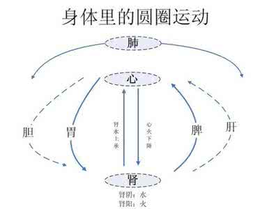 揭开货币的神秘面纱 转 揭开立新七针神秘的面纱---气血河道理论(一)