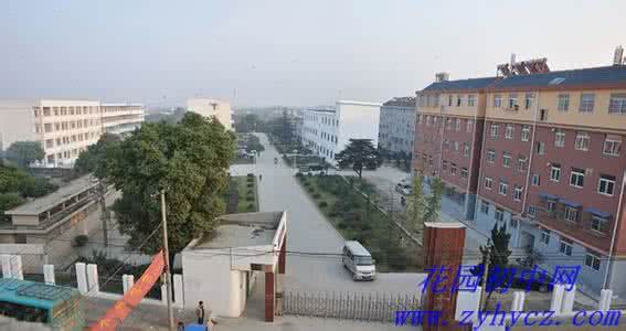 马耳他留学 马耳他留学：马耳他留学-学校概况，马耳他留学-学校历史 马耳他留学