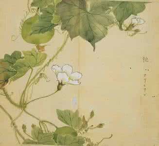 匏有苦叶朗读 匏有苦叶