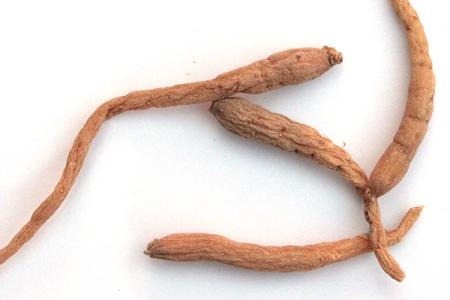 太子参怀孕可以吃吗 孕妇能吃太子参吗