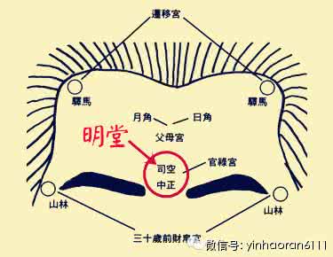 明堂红木家俱有限公司 你家有“明堂“吗