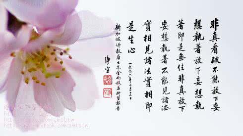 放下也是一种获得作文 放下也是一种美作文 放下也是一種美