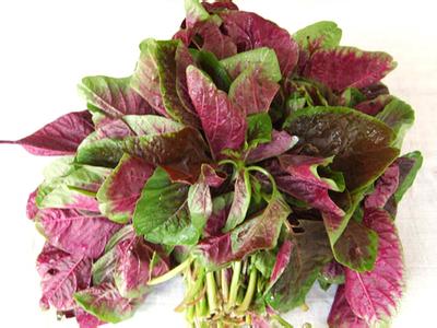 苋菜孕妇能吃吗 一起来吃苋菜