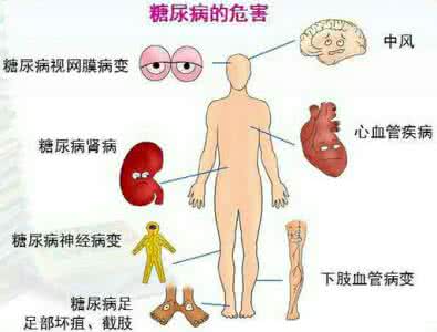 糖尿病并发症的危害 糖尿病的并发症 糖尿病有什么危害