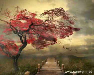 用心绽放青春的光芒 【随着四季变化，让心绽放光芒】