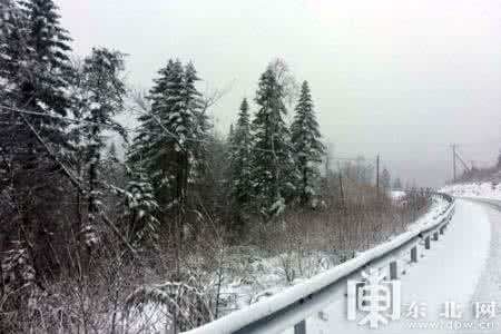 等来年大雪封山 等来年大雪封山 大雪补得好,来年身体底子硬,寒暑都不侵!
