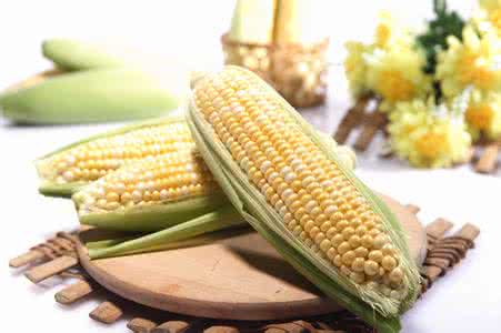 如何挑选玉米 怎么挑选出好吃的玉米 玉米保存比较好