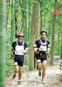 定向运动的主要形式有 定向运动的作用有哪些