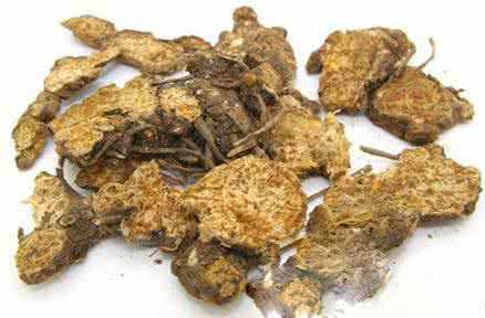 苍术 治疗糖尿病--苍术