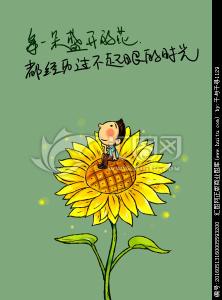 以一朵花的姿态行走 以一朵花开的姿态，学会成长与坚强的哲理