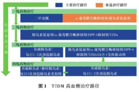 糖尿病治疗的药物 糖尿病治疗的药物怎么分类全在这里了！-凤凰新闻