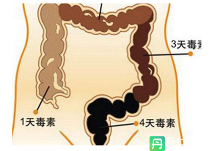 一扫而光的意思 仅 需四步，让宿便一扫而光!（动画演示）