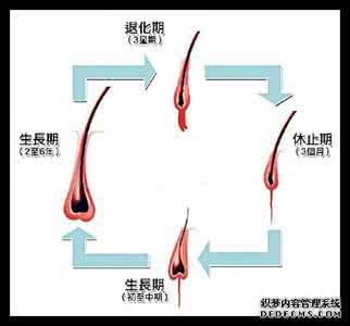 生姜抑制毛发生长 网传“生姜不治脱发反而抑制毛发生长”，是真的吗？