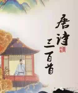 六神磊磊是哪里人 六神磊磊:《唐诗三百首》里没有的那些好诗!