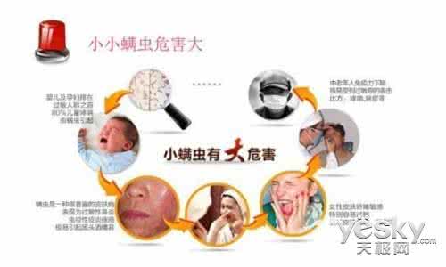 螨虫对孕妇的危害 螨虫会影响健康吗？孕妇怎么预防螨虫？