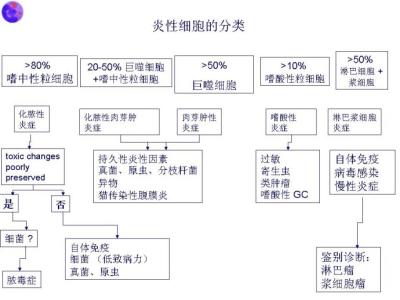 细胞分类单 细胞分类学