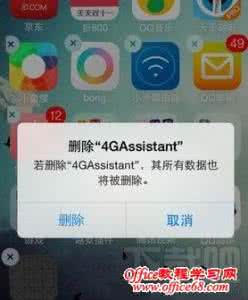 jassistant京助手 联通4G助手4gassistant白图标如何删除