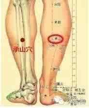 承山的准确位置图 【美业课堂】每周学穴位—— 承山 | 手把手