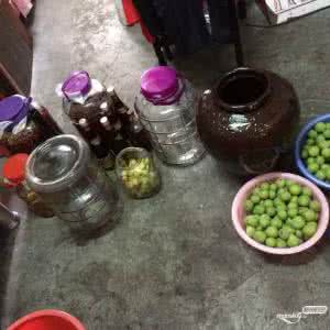 桑白皮中医世家 桑白皮哺乳可以和吗 在生活中桑白皮可以泡酒吗