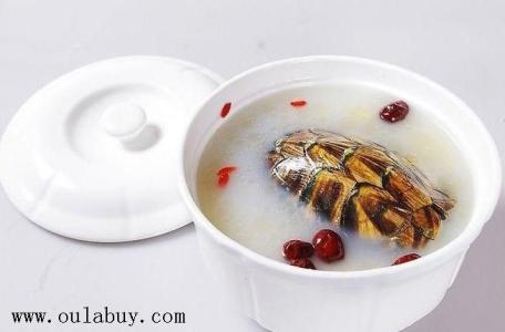 滋阴壮阳药膳 小编推荐:滋阴养颜的甲鱼药膳