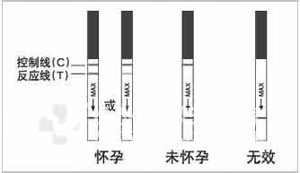 早孕试纸使用方法 教你早孕试纸的正确使用方法