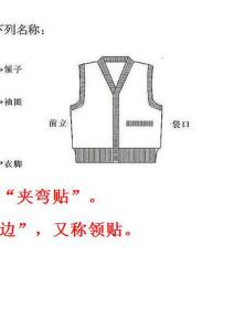 乖诺诺毛衣编织视频 【乖】常规毛衣比例公式 