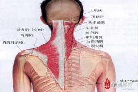 颈椎病有什么症状 颈椎病有什么症状 颈椎病的症状