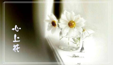 无忆流年妈妈网 无忆流年