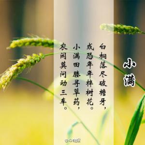 有关小满的诗句 赞颂小满的诗句有哪些