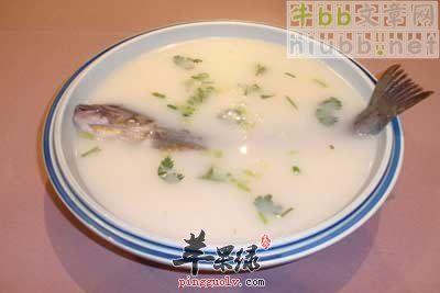 炖黄花鱼 风湿病的冬季最佳食疗法——五加皮炖黄鱼