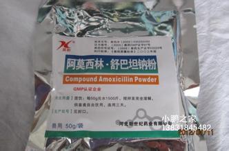 乳腺炎 阿莫西林 乳腺炎阿莫西林怎么吃？