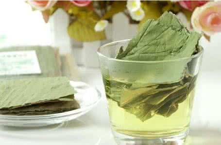 月经期可以喝荷叶茶吗 月经期可以喝荷叶茶吗 在月经期可以喝荷叶茶吗