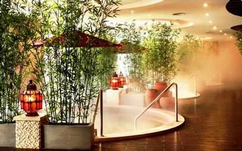 广州香柏酒店 广州香柏酒店教你制作“DIY可爱微景观生态瓶”