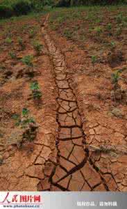 智慧背囊 【智慧背囊】干涸的水渠