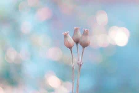 心好累人生感悟的句子 句句入心的经典人生感悟