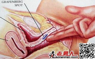 不同性体位给各式G点刺激：G点高潮做爱法