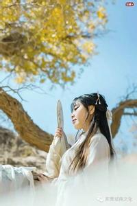 竹叶青鸟 芦花同鸟白,竹叶向人青