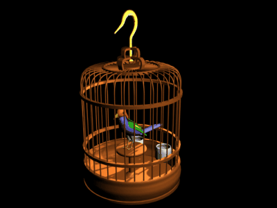 养鸟 养鸟常用词语浅释