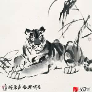 历代绘画名家大图范本 名家繪·獅虎圖 49
