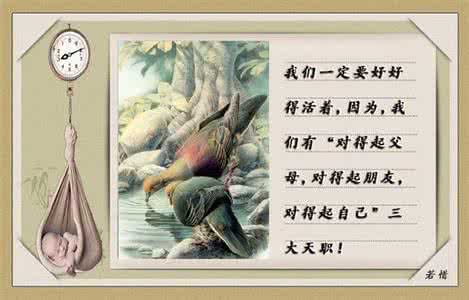 有哲理的话关于人生 人生最实在的话！【哲理图文】