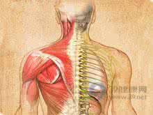 脊髓性肌萎缩症症状 脊髓性肌萎缩症 以下就是它的临床症状