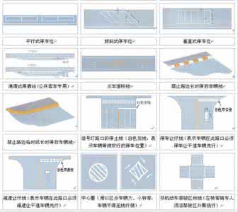 道路标识线大全图解 道路交通标线大全及图解