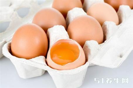 储藏狗狗的食物 14种错误的食物储藏方法几乎人人遇到