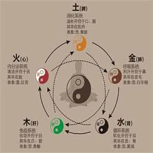 拉里埃里森的过人之处 五脏中的将军,有何过人之处?