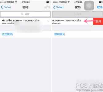 删除浏览器保存的密码 iPhone SE Safari 浏览器密码怎么删除