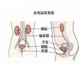 急性尿路感染尿血女性 女性急性尿路感染原因有哪些？