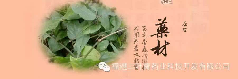 端午三友 详述“端午三友”养生方法