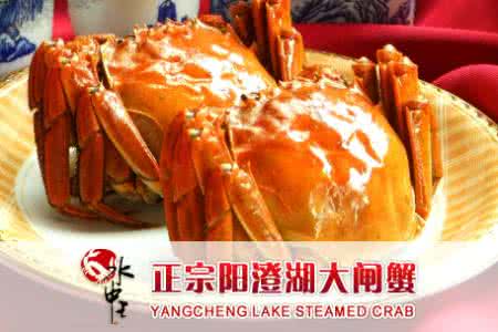 阳澄湖大闸蟹 阳澄湖大闸蟹 水中软黄金