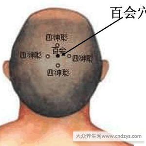 百会通 百会泉涌一通,乳汁自下